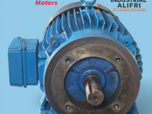 Motor Eléctrico 15hp Trifásico 1750rpm marca ELEKTRIM MOTORS